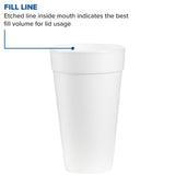 WinCup Styrofoam Drinking Cup, 20 oz., CS/25 – Bulk Breakroom Supply - Breakroom & Disposable Foodservice Supplies for commercial facility supply