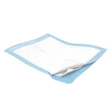Wings Plus Underpads, Disposable, Heavy Absorbency