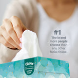 Kleenex Professional Facial Tissue Kleenex Junior Kimberly-Clark, CS/64 – Bulk Facility Tissue Supply - Commercial Facial Tissues for commercial facility supply