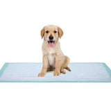 Dukal Disposable Underpad, 23 x 24 in. DUKAL Dukal